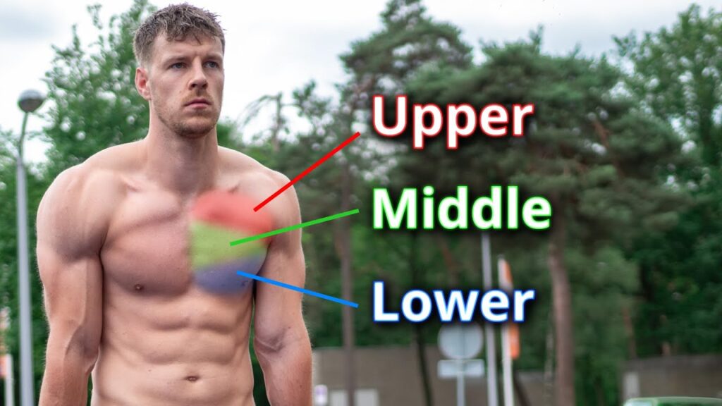 5 Calisthenics Chest Workouts for Muscle Building
